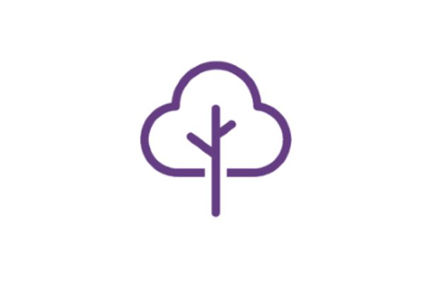 Office of Product Safety & Standards Publishes Latest EUTR Enforcement Activity